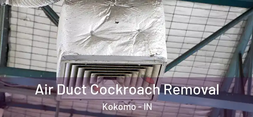  Air Duct Cockroach Removal Kokomo - IN