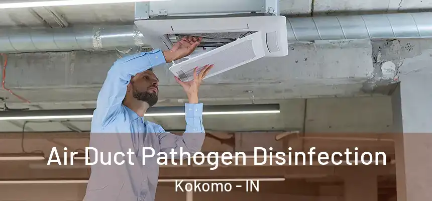  Air Duct Pathogen Disinfection Kokomo - IN
