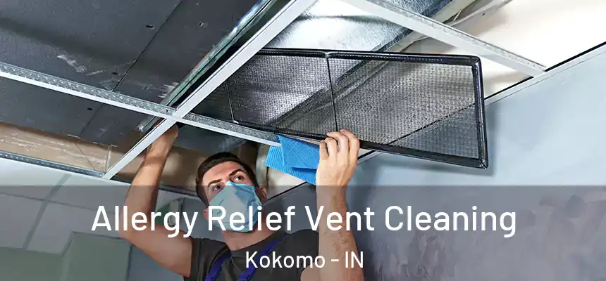  Allergy Relief Vent Cleaning Kokomo - IN