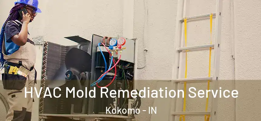  HVAC Mold Remediation Service Kokomo - IN