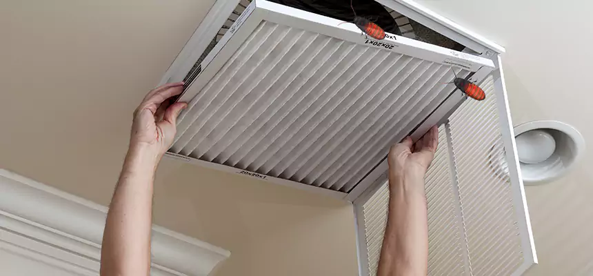 Preventive Cockroach-Proofing for Ducts in Kokomo