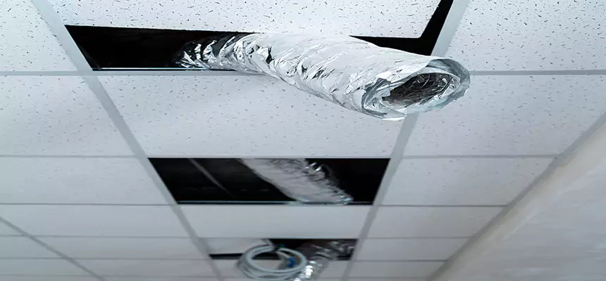 Affordable HVAC Sanitizing After Pest Removal in Kokomo