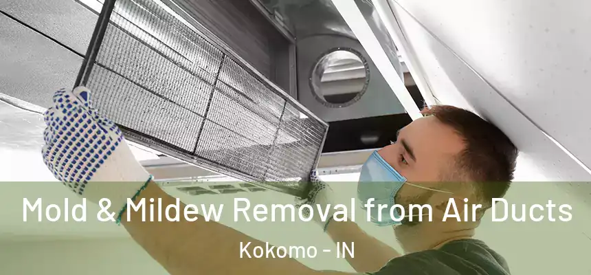  Mold & Mildew Removal from Air Ducts Kokomo - IN