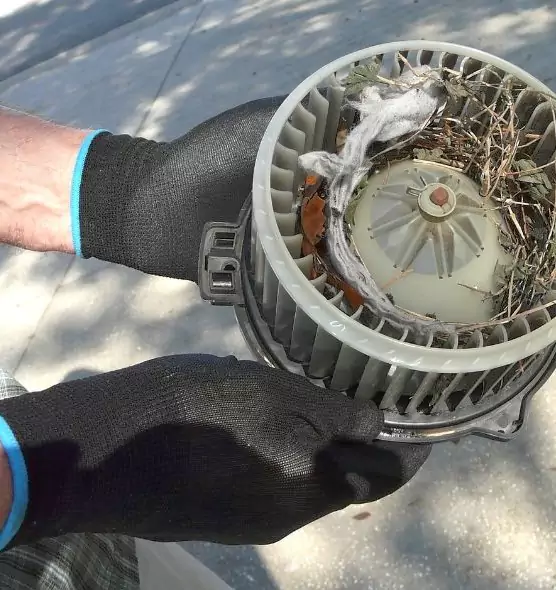 About Air Duct Rat Removal in Kokomo, IN