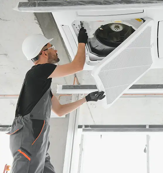 About Air Duct Rodent Removal in Kokomo, IN